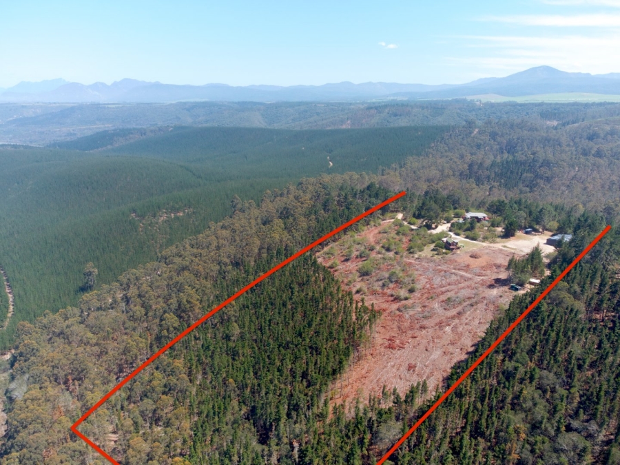 Commercial Property for Sale in Wilderness Rural Western Cape